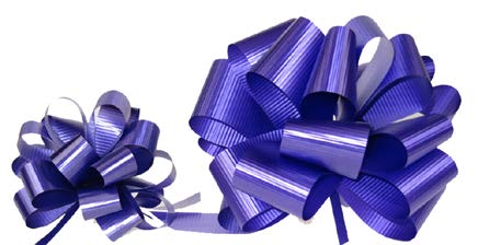 Boucle à tirer gaufrée Violet-Prune - 3/4 po (50 boucles)