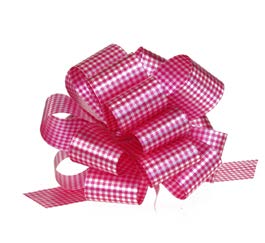Boucle à tirer Vichy Fuchsia - 1½ po (25 boucles)