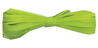 Raphia Deluxe Lime - 5/8 po (brin) x 218 Y