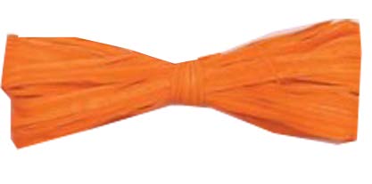 Raphia Deluxe Orange - 5/8 po (brin) x 218 Y