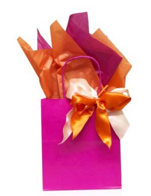 Sac cadeau uni Fuchsia - 10 x 4 x 13 po