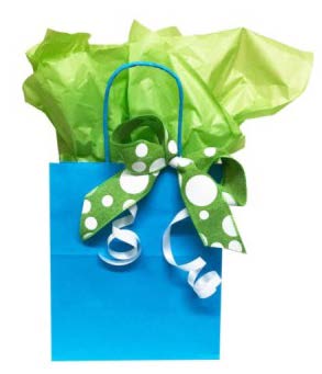 Sac cadeau uni Turquoise - 7 x 5 x 9 po