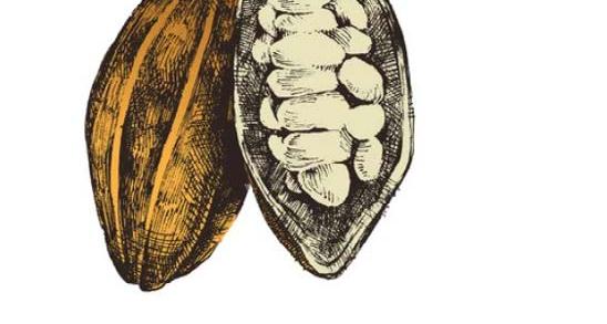 Boîte à chocolats Ecolo Blanc – format #9 – lot de 24