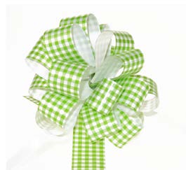 Boucle à tirer Vichy Lime - 3/4 po (50 boucles)