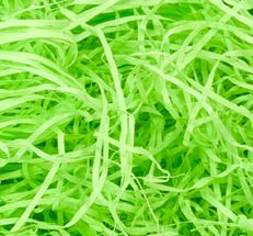 Paille décorative fine Lime – sac de 10 lbs
