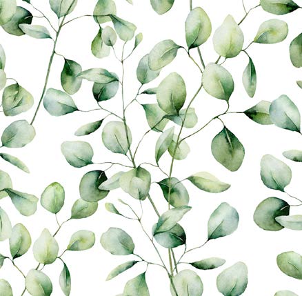 Papier de soie de Noël Feuillage d'eucalyptus - 50 feuilles - 20'' x 30''