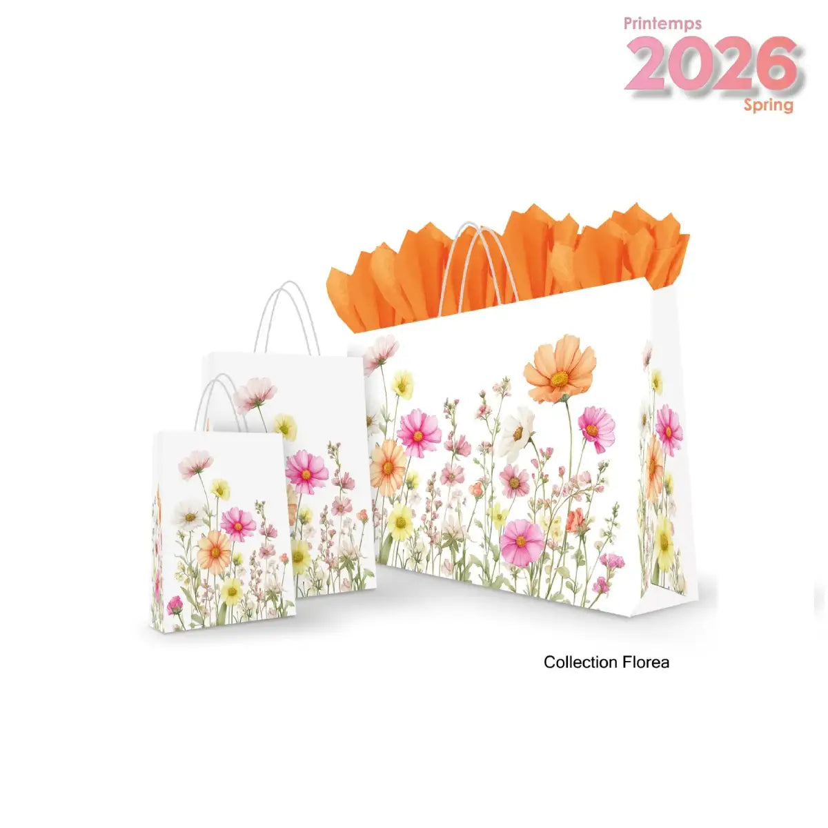 Printemps / Été