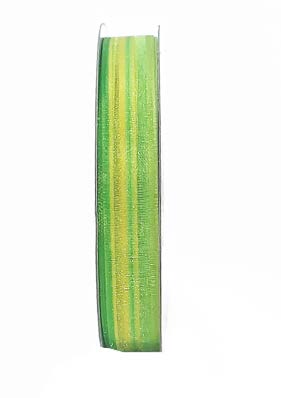 Ruban Rayé multicolore Vert - 5/8 po x 25 Y