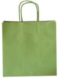 Sac cadeau uni Basilic - 10 x 5½ x 10 po