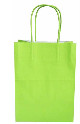 Sac cadeau uni Lime - 10 x 4 x 13 po
