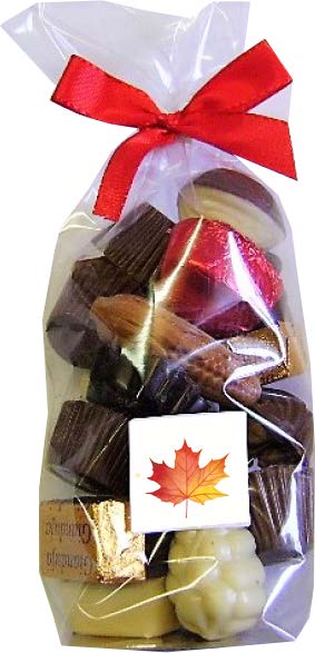 Sac de cellophane fond de carton - 2¼ po x 2 po x 9½ po